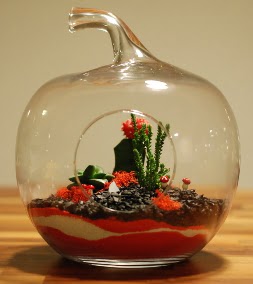 Elma Terrarium 3 kakts orta boy  Ankara 14 ubat sevgililer gn iek 