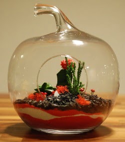 Elma Terrarium 3 kakts orta boy  Ankara 14 ubat sevgililer gn iek 